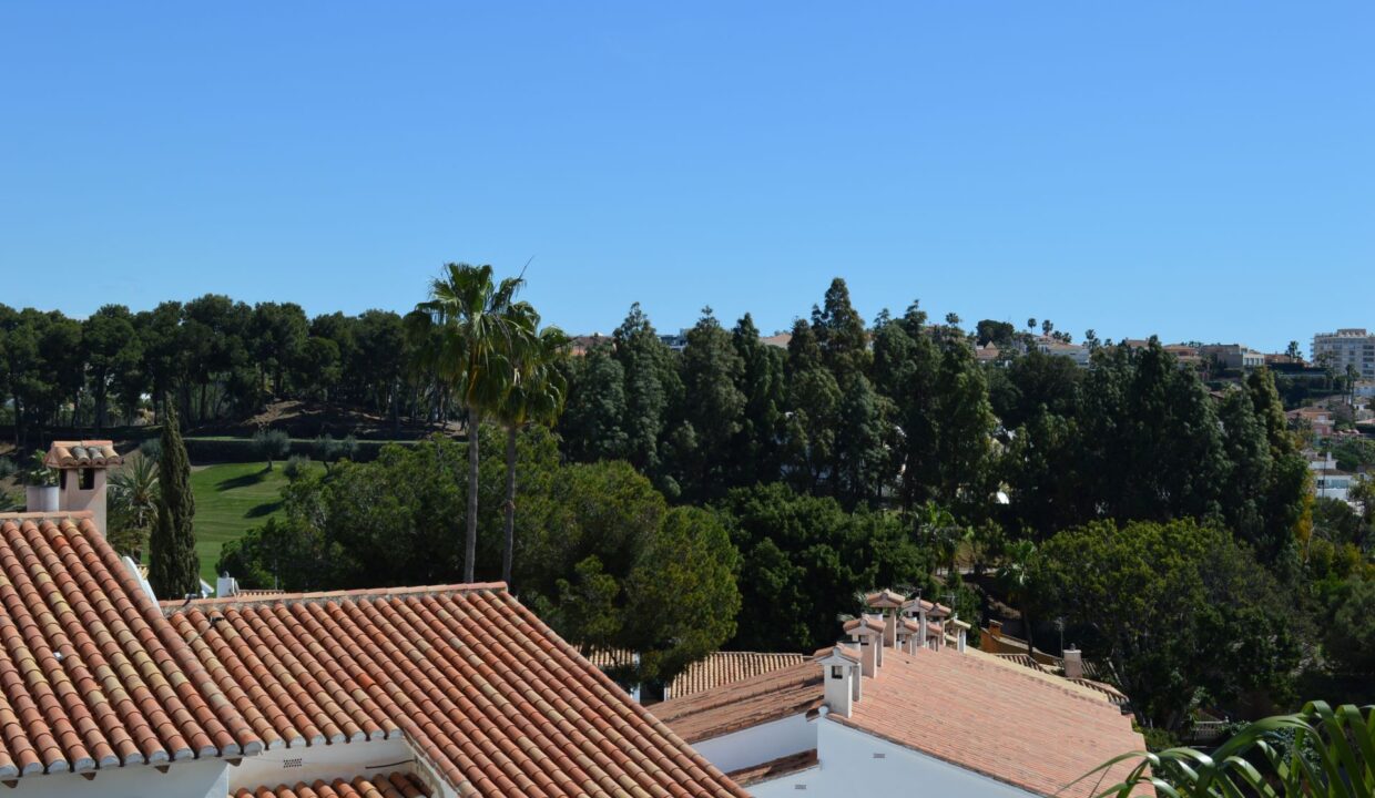 Vista