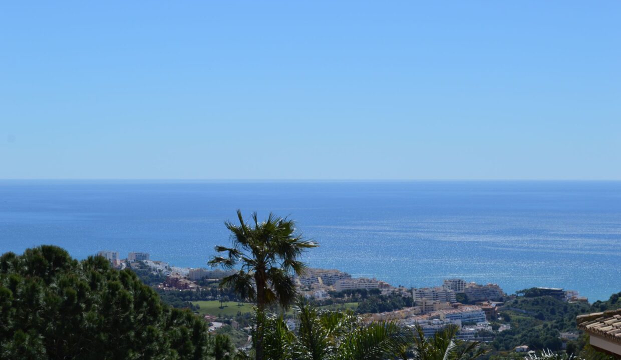 View1