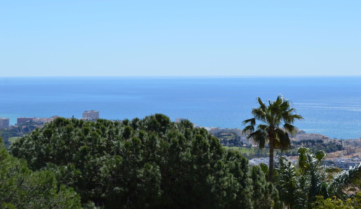 view5