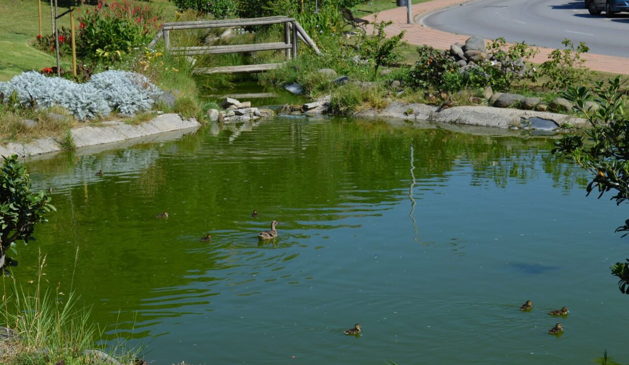 Parque