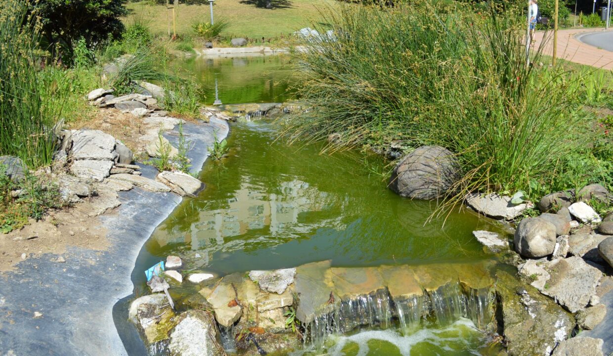 Parque1