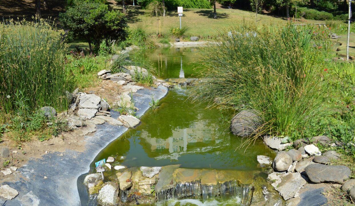 Parque2