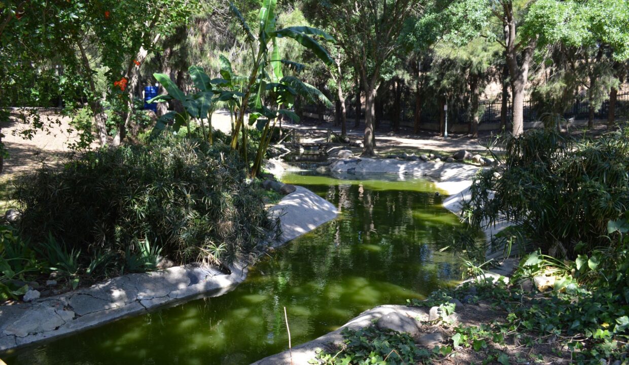 Parque3